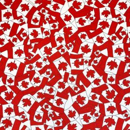 Canada flag mini
