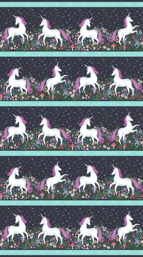 Unicorn Dreams Collection – Border Stripe Charcoal