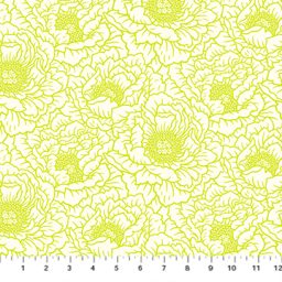 Full Bloom by Heather Bailey - Peony Texture - Cream