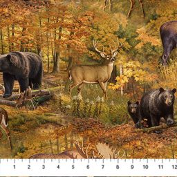 Wilderness from Naturescapes - Scenic Animals