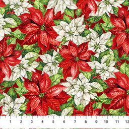 Christmas Holiday Joy - Packed Poinsettias