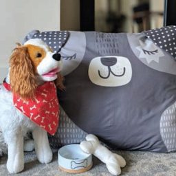 Cut Sew Create - Doggie Bed, Toy, & Scarf - Packaged Panel