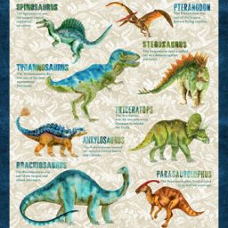 Dino Roar Prehistoric Collection - Dino Bios Panel