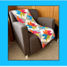 Baraboo Pattern - Villa Rosa Designs
