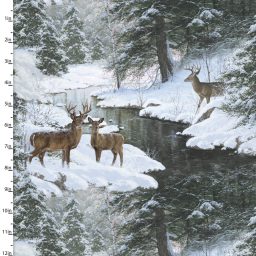 Under the Moonlight Snowy Forest - Surprise Encounter Deer