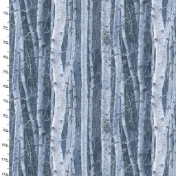 Under the Moonlight Snowy Forest - Winter Birch Trees
